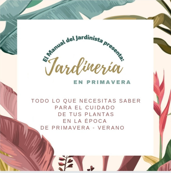 Taller : JARDINERIA EN PRIMAVERA  IV